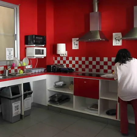 Red Nest * Walencja
