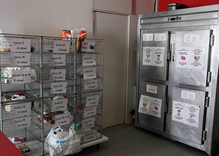 Red Nest Хостел *